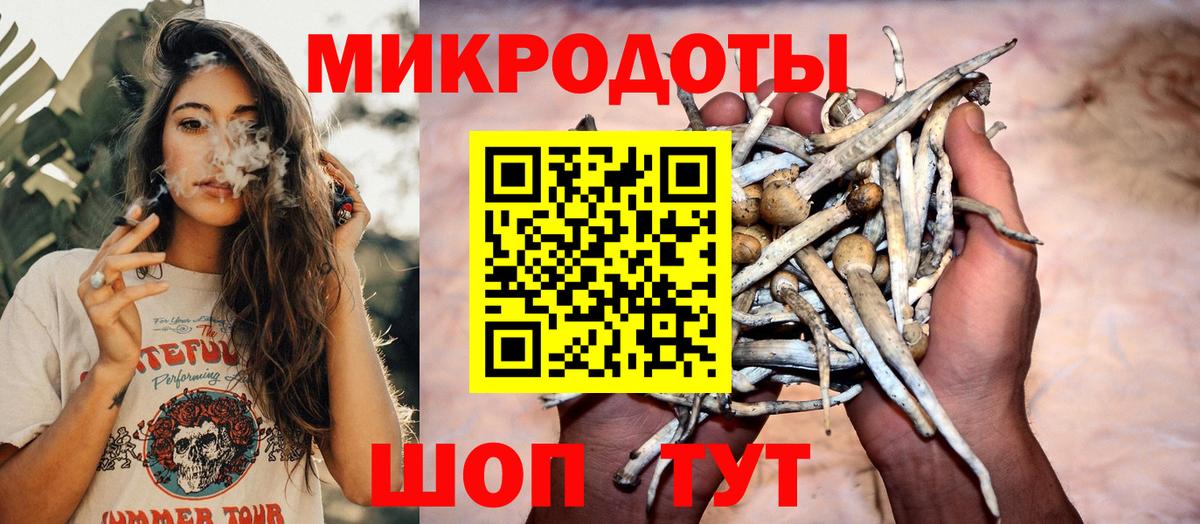 Галлюциногенные грибы Cubensis Шали