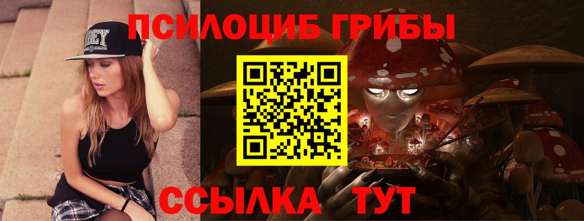 Шали  Псилоцибиновые грибы GOLDEN TEACHER  Вход с VPN 